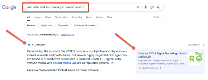 Google Search Result